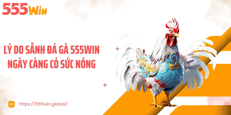 Lý do sảnh đá gà 555WIN ngày càng có sức nóng
